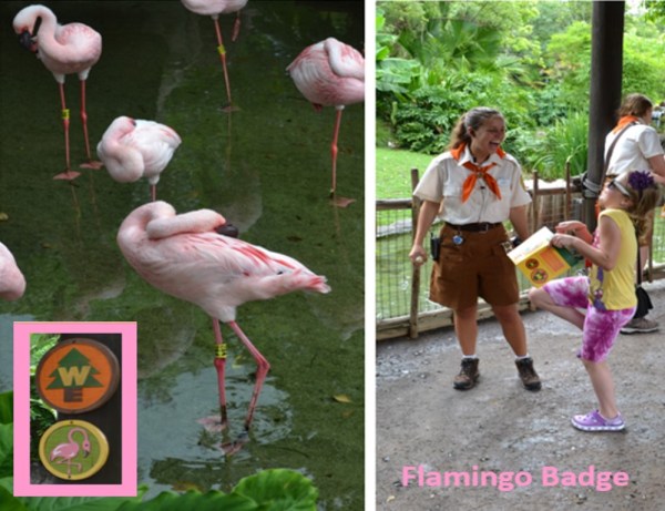 Flamingo Badge at Animal Kingdom Wilderness Explorers